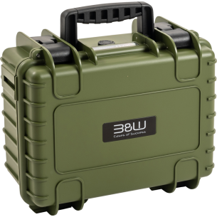 BW Outdoor Cases Type 3000 / Bronze green (divider system)